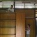 Shelter at Rainforest, Marra Yeh Architects, net zero home, zero energy home, sustainable forestry, malaysia