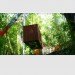 Six Oaks, Modulus, shipping containers, cargotecture, container house, santa cruz, california, shipping container house