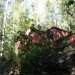Six Oaks, Modulus, shipping containers, cargotecture, container house, santa cruz, california, shipping container house
