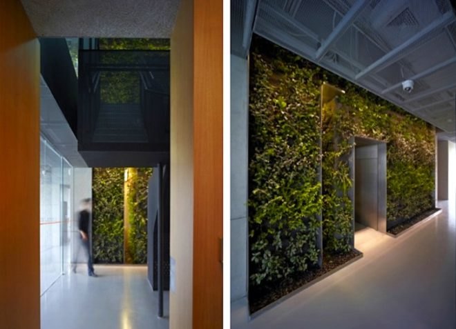 Vector Architects, green design, sustainable design, eco-design, vertical garden, living wall, China, Tianjin, green renovation,