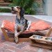 The Bambu Pet Hammock II, Pet Lounge Studios, bamboo pet beds, eco friendly pet beds, green pet beds, green dog beds, eco friendly dog beds, sustianble dog beds