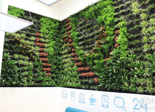 Thessaloniki, Greece, Vita Verde, National Bank of Greece, living wall, vertical garden, gardening, green interiors, sustainable design, green design