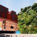 green design, eco design, sustainable design, Madrid, Caiza Forum, living wall, Patrick Blanc, Vertical Garden, self irrigating green wall