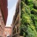 green design, eco design, sustainable design, Madrid, Caiza Forum, living wall, Patrick Blanc, Vertical Garden, self irrigating green wall