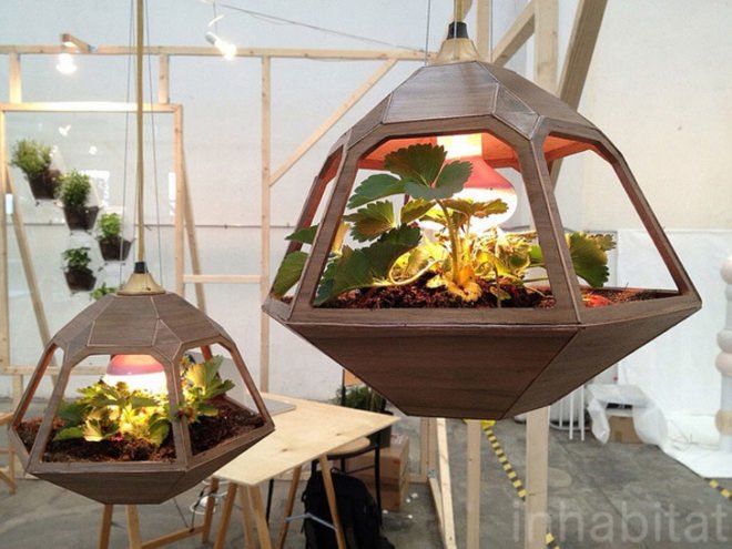 Vicky terrarium lamp, terrarium lamp, pendant terrarium, by Jose de la O