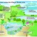Villages Nature, Eco Resort, disneyland paris, euro disney, family resort, eco tourism