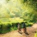 Villages Nature, Eco Resort, disneyland paris, euro disney, family resort, eco tourism