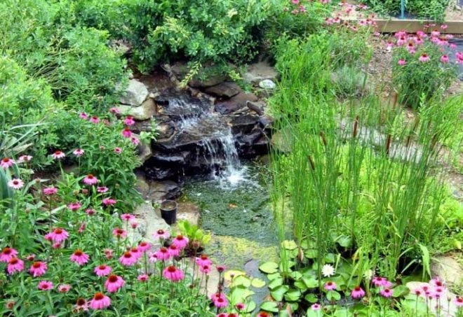 Magee design, John Magee, landscape, landscape design, wildlife habitat, landscaping