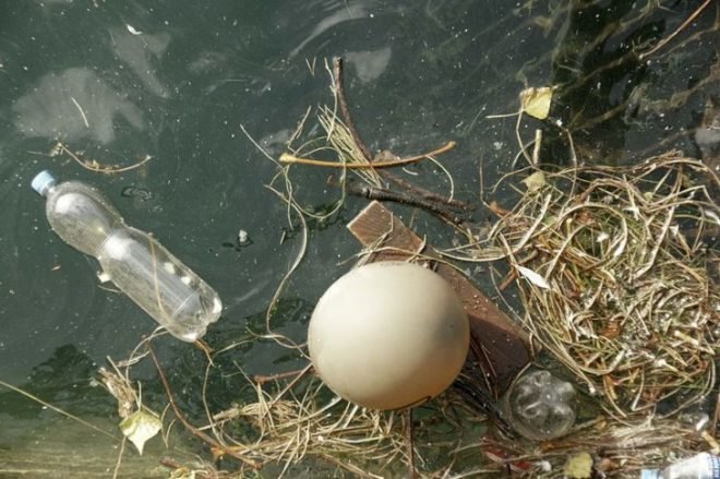 Pollution, Contaminated Water, Plastic Bottles, Balloon