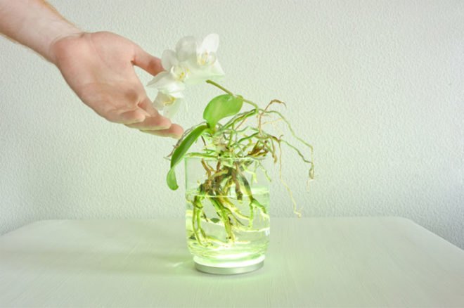 aura, touch, led, lamp, interactive interface, viktor kolbig, plant