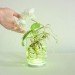 aura, touch, led, lamp, interactive interface, viktor kolbig, plant