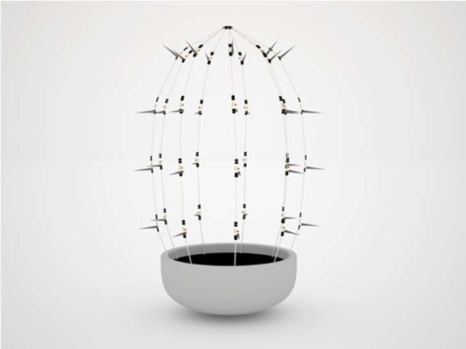 botanius interacticus, orchid, touche, software, computer, interactive, houseplant, cactus