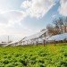 Conergy, Aqua Pennsylvania Inc, Pickering water treatment facility, solar farm ,solar power, solar energy, aqua pickering solar farm, water treatment facility, largest solar farm