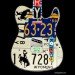 art, design, sculpture, recycling, upcycling, guitar, music, Peter Geiger, license plates, license tags, country music, Brad Paisley, Rascal Flatts