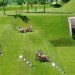 green design, eco design, sustainable design, Culemborg, Fort Wek aan't Spoel, Holland, Adaptive reuse, inundation locks, Rietveld Landscape, Atelier de Lyon, disused fort