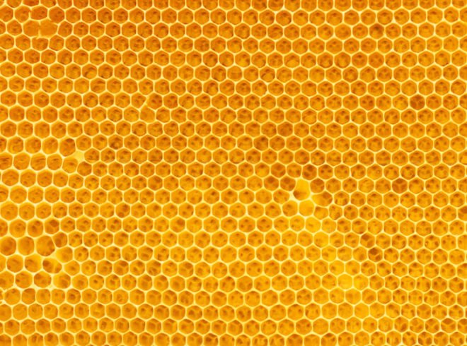bee pollen, pollen science, honey, fake honey, counterfeit honey, HFCS honey, bees, bee pollen, Vaughn Bryant, local honey, Texas AM
