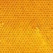 bee pollen, pollen science, honey, fake honey, counterfeit honey, HFCS honey, bees, bee pollen, Vaughn Bryant, local honey, Texas AM
