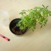 diy green wall, diy room divider, diy vertical garden, easy room divider, easy vertical garden, furniture diy, furniture hack, green wall, how to green wall, how to make a green wall, how to make a vertical garden, ikea ps 2012 planter