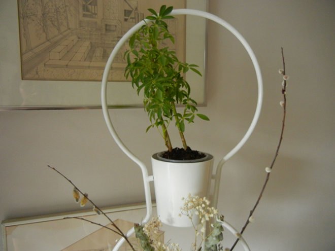diy green wall, diy room divider, diy vertical garden, easy room divider, easy vertical garden, furniture diy, furniture hack, green wall, how to green wall, how to make a green wall, how to make a vertical garden, ikea ps 2012 planter