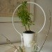 diy green wall, diy room divider, diy vertical garden, easy room divider, easy vertical garden, furniture diy, furniture hack, green wall, how to green wall, how to make a green wall, how to make a vertical garden, ikea ps 2012 planter