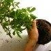 diy green wall, diy room divider, diy vertical garden, easy room divider, easy vertical garden, furniture diy, furniture hack, green wall, how to green wall, how to make a green wall, how to make a vertical garden, ikea ps 2012 planter
