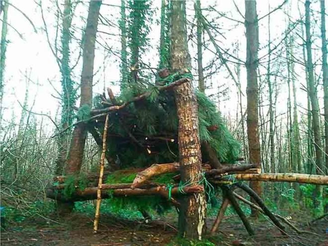 kevin langan, survival shelter, scotland, natural resources, 100 wild huts, hut, blog, pine