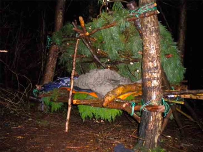 kevin langan, survival shelter, scotland, natural resources, 100 wild huts, hut, blog, pine