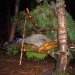 kevin langan, survival shelter, scotland, natural resources, 100 wild huts, hut, blog, pine