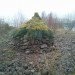 kevin langan, survival shelter, scotland, natural resources, 100 wild huts, hut, blog, pine