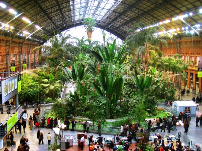 green design, eco design, sustainable design, botanical garden, turtle sanctuary, indoor garden, Atocha Train Station, Madrid