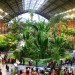 green design, eco design, sustainable design, botanical garden, turtle sanctuary, indoor garden, Atocha Train Station, Madrid
