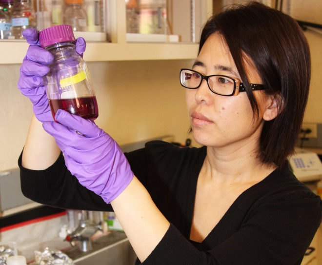 hong liu, oregon state university, microbial fuel cell, poo power, wastewater, sewage plant, microbial, biodegradable, poop power