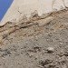 Harvard GSD, Graduate School of Design, MudWorks, Mud Hall, Anna Heringer , 2012 Loeb Fellow, Martin Rauch,socially responsible architecture,