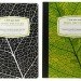 New Leaf, composition notebook, recycled paper, recycled notebook, New Leaf notebook