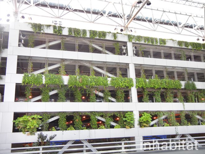 green wall, vertical wall, pdx, green wall at portland airport, portland airport, portland airport vertical garden, vertical garden at portland airport, green wall, portland green, green design, eco design, sustainable design, portland international airport