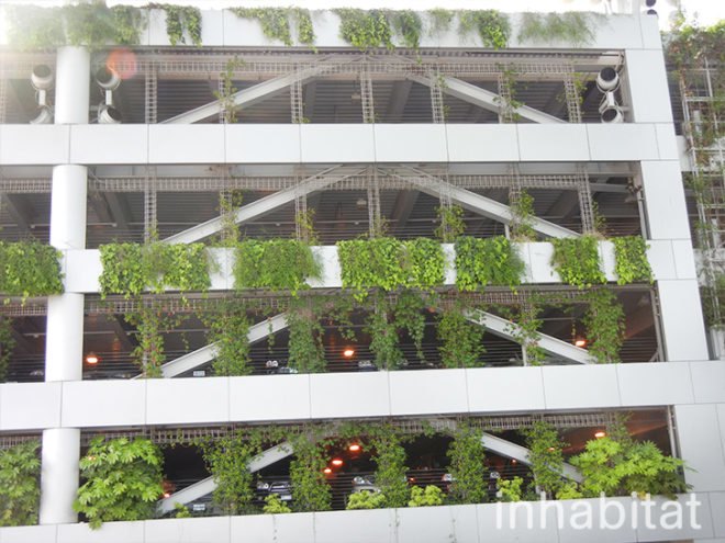 green wall, vertical wall, pdx, green wall at portland airport, portland airport, portland airport vertical garden, vertical garden at portland airport, green wall, portland green, green design, eco design, sustainable design, portland international airport