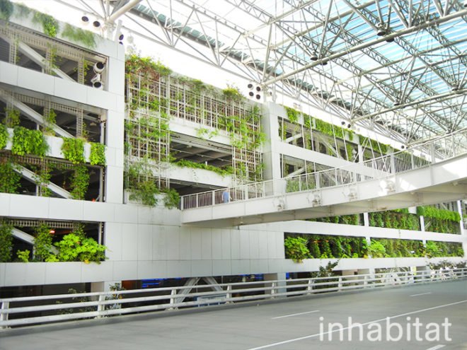 green wall, vertical wall, pdx, green wall at portland airport, portland airport, portland airport vertical garden, vertical garden at portland airport, green wall, portland green, green design, eco design, sustainable design, portland international airport