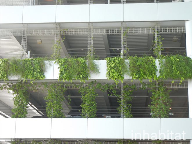 green wall, vertical wall, pdx, green wall at portland airport, portland airport, portland airport vertical garden, vertical garden at portland airport, green wall, portland green, green design, eco design, sustainable design, portland international airport