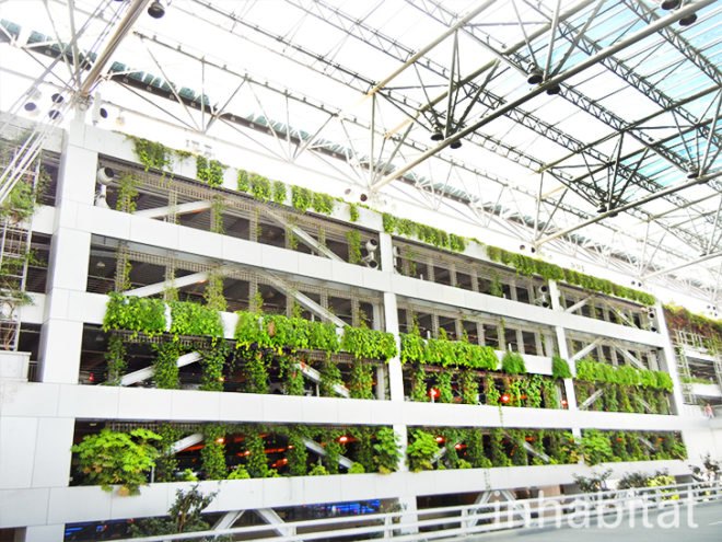 green wall, vertical wall, pdx, green wall at portland airport, portland airport, portland airport vertical garden, vertical garden at portland airport, green wall, portland green, green design, eco design, sustainable design, portland international airport