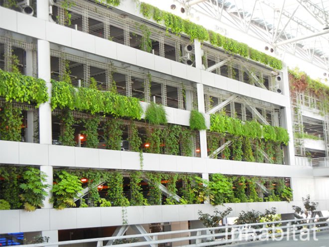 green wall, vertical wall, pdx, green wall at portland airport, portland airport, portland airport vertical garden, vertical garden at portland airport, green wall, portland green, green design, eco design, sustainable design, portland international airport