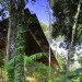 Shelter at Rainforest, Marra Yeh Architects, net zero home, zero energy home, sustainable forestry, malaysia