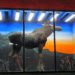 Stockholm Metro, Stockholm subway station, Sweden, subway art, subway mural, Stockholm Metro art