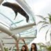 Sunshine aquarium, tokyo, flying penguins, sea lions, aquarium, sunshine aqua ring