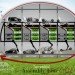 daniel couttolenc, Terrestrial Modular car, green cars, car waste, recyclable car