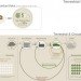 daniel couttolenc, Terrestrial Modular car, green cars, car waste, recyclable car
