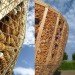 StAndré-Lang Architectes, France, Archi