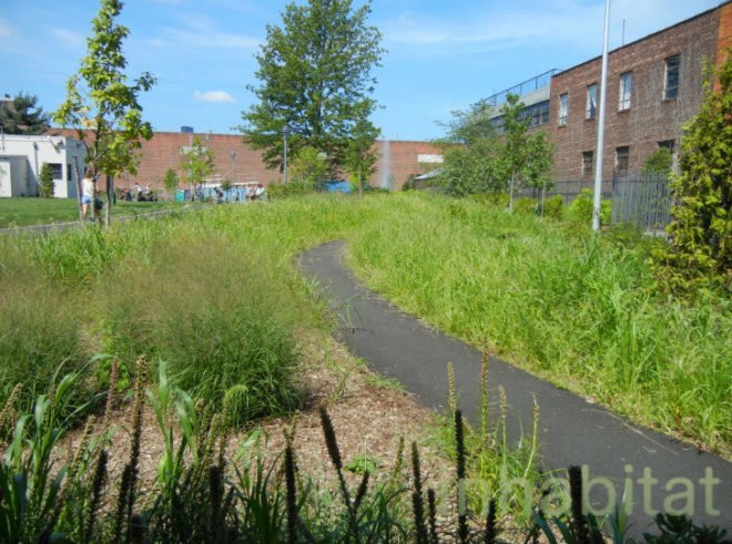 transmitter park, greenpoint park, greenpoint waterfront, waterfront park nyc, green nyc, greenpoint, greenpoint brooklyn, greenpoint park, transmittor park, transmitter park opening