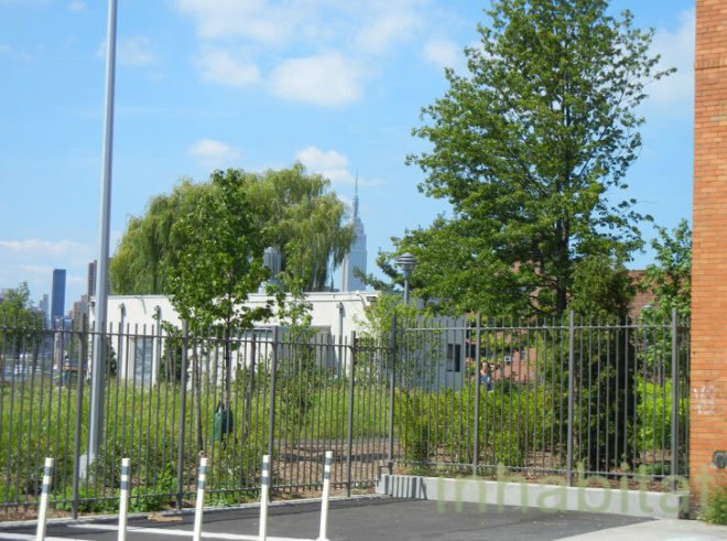 transmitter park, greenpoint park, greenpoint waterfront, waterfront park nyc, green nyc, greenpoint, greenpoint brooklyn, greenpoint park, transmittor park, transmitter park opening