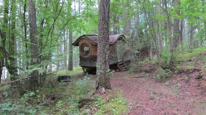 cedar forest, wagon life, small house, home on wheels, nature and home