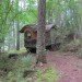 cedar forest, wagon life, small house, home on wheels, nature and home